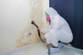 Best Black Mold Removal  in Mountain View Acres, CA